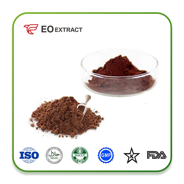 Cocoa Powder