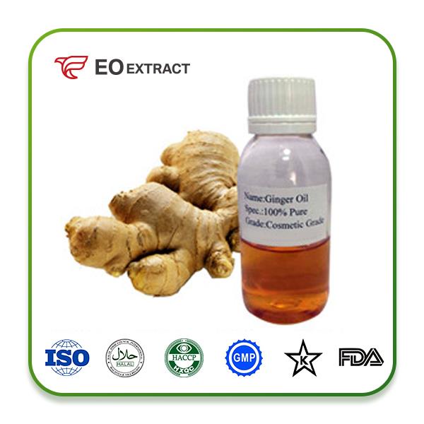 Ginger Oil