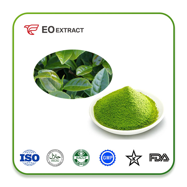 Green Tea Powder