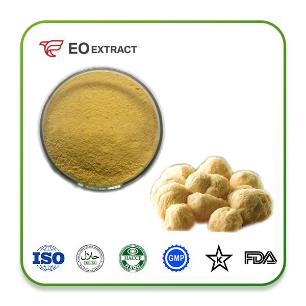 Hericium Erinaceus Powder