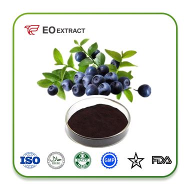 Bilberry Extract