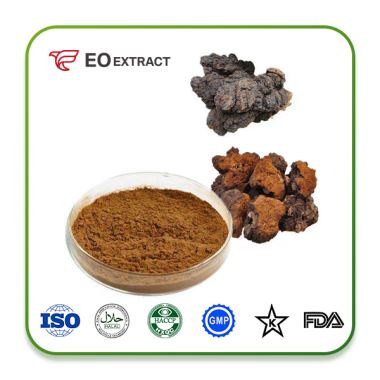 Chaga Mushroom Extract