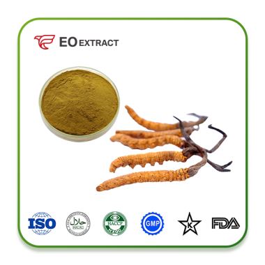 Cordyceps Mycelia Extract