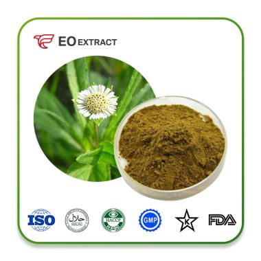 Eclipta Prostrata Extract