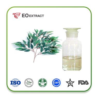 Eucalyptus Oil