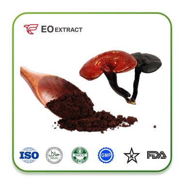 Ganoderma Extract