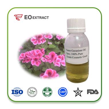 Geranium Oil