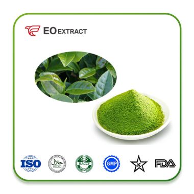 Green Tea Powder