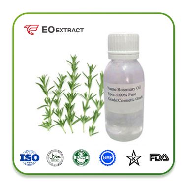 Rosemary Oil