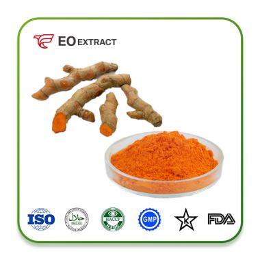 Turmeric Root Extract
