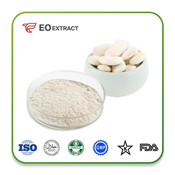 White Kidney Bean Extract