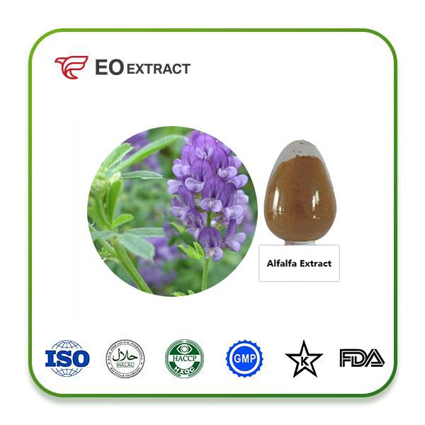 Alfalfa Extract