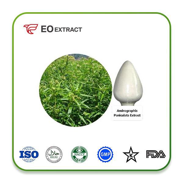 Andrographis Paniculata Extract