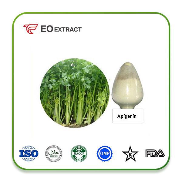 Apigenin Extract