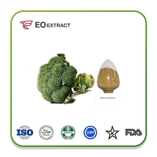 Broccoli Extract