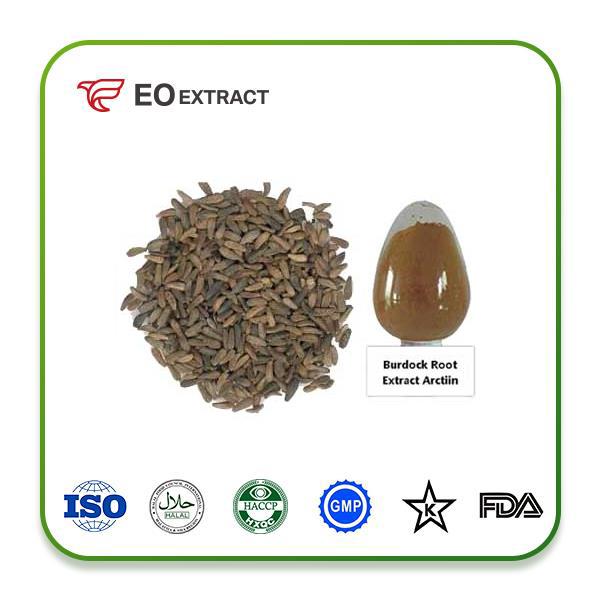 Burdock Root Extract