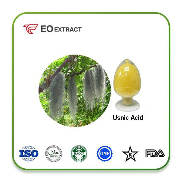 Chinese Lichen Usnea Extract