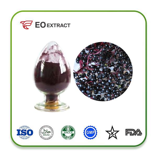 Elderberry Extract