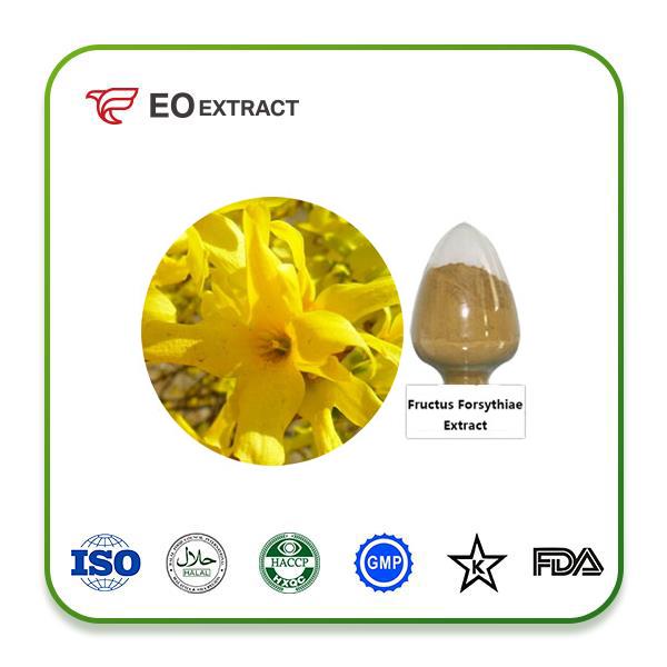 Fructus Forsythiae Extract