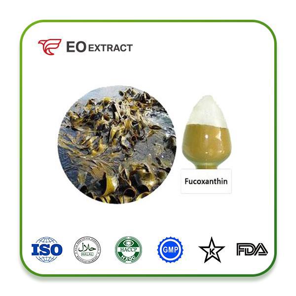 Fucoxanthin Extract