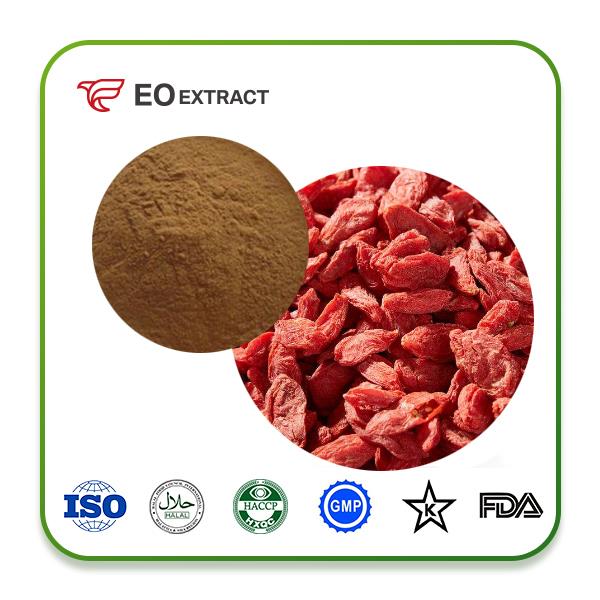 Goji Berry Extract Powder