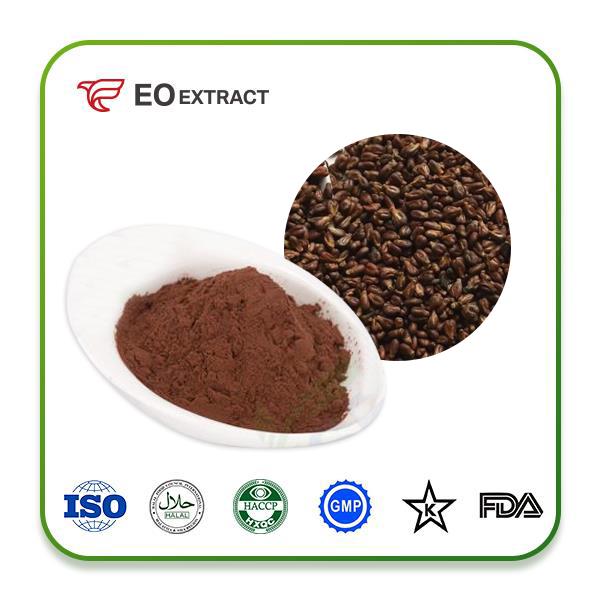 Grape Seed Extract