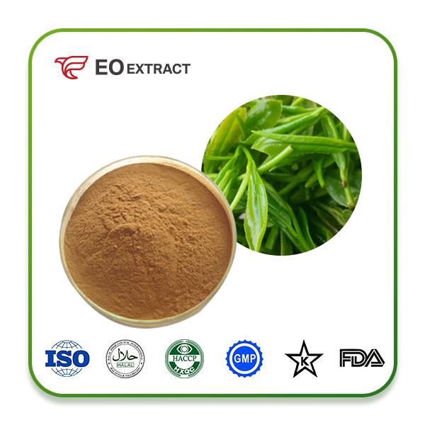 Green Tea Extract