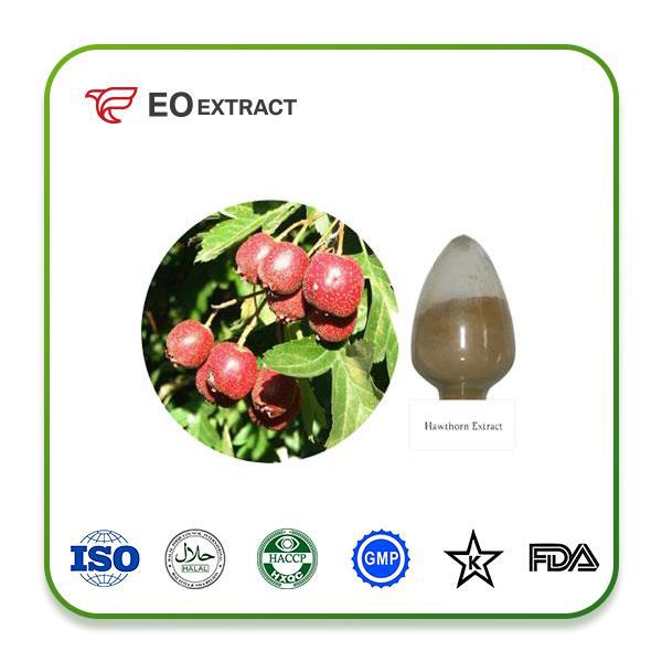 Hawthorn Extract