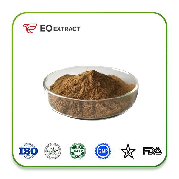 Incarvillea Sinensis Extract