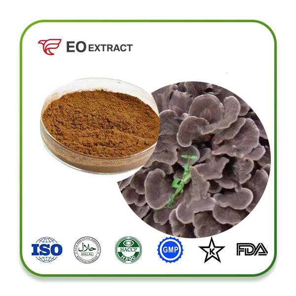 Maitake Mushroom Extract Powder