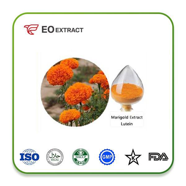 Marigold Flower Extract