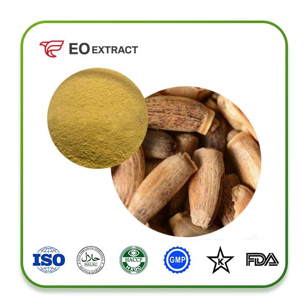 Milk Thistle Seed Extract Powder