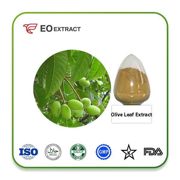 Olive Leaf Extract