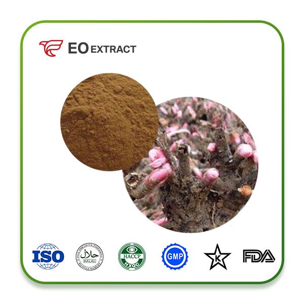 Paeonia Lactiflora Root Extract