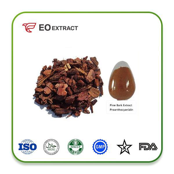 Pine Bark Extract