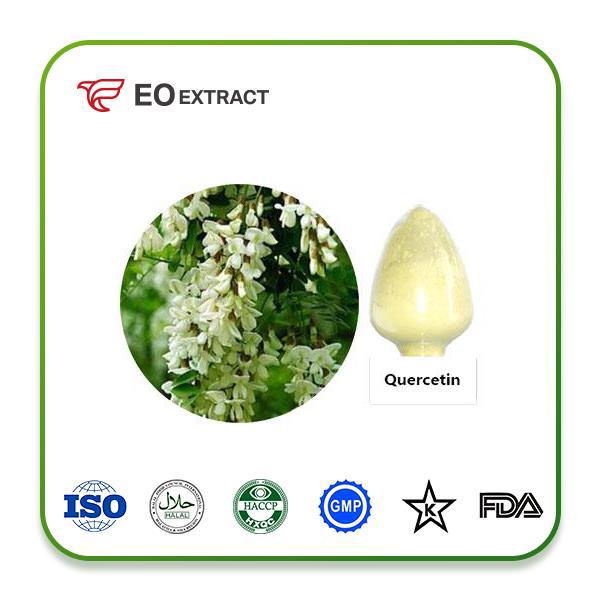 Quercetin Extract