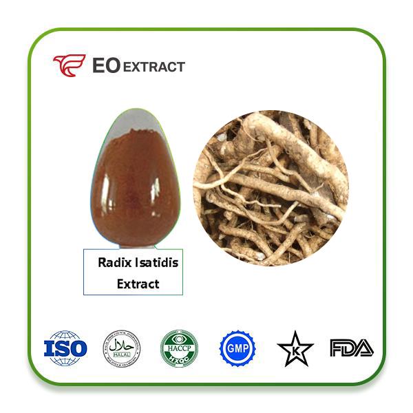 Radix Isatidis Extract