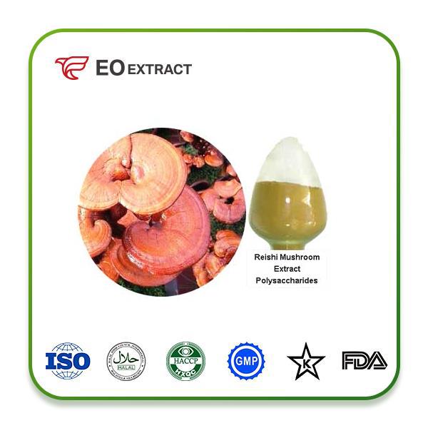 Reishi Mushroom Extract