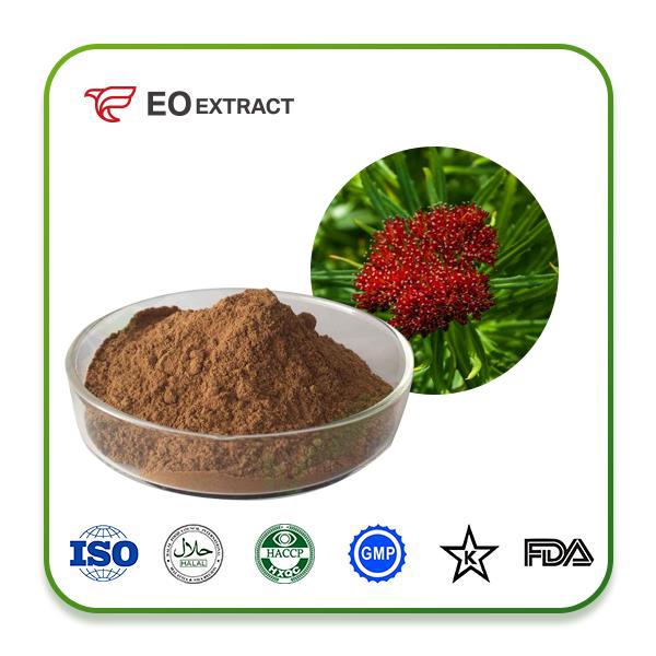 Rhodiola Rosea Extract