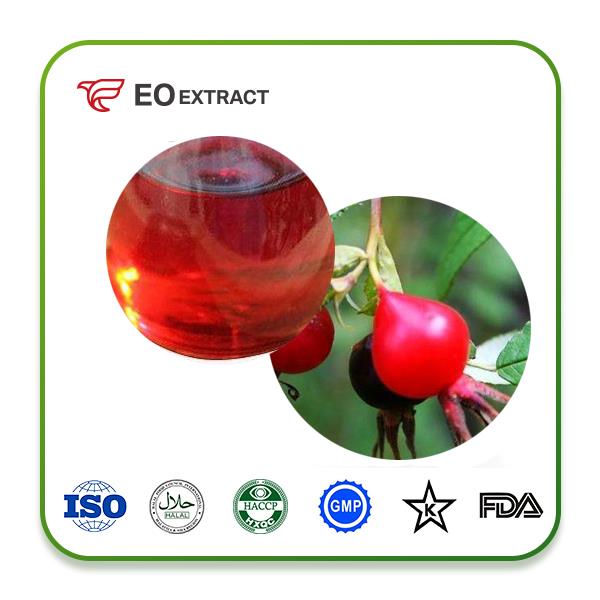 Rose Hip Oil