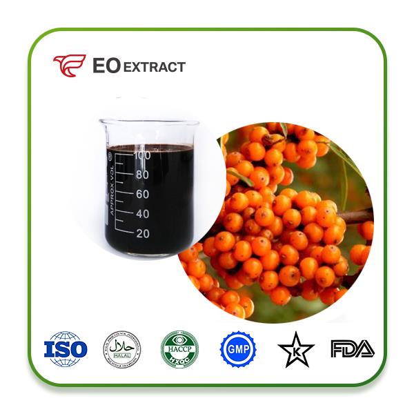 Sea Buckthorn Concentrate