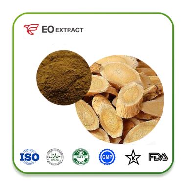 Astragalus Extract Powder