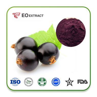 Black Currant Powder