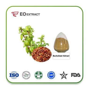 Buckwheat Extract