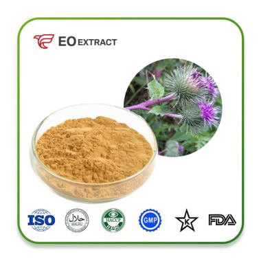 Burdock Extract