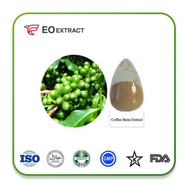 Chlorogenic Acid Extract