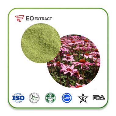 Echinacea Purpurea Extract Powder