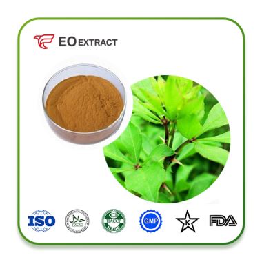 Eleuthero Root Extract Powder