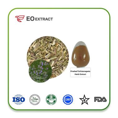 Fineleaf Schizonepeta Herb Extract