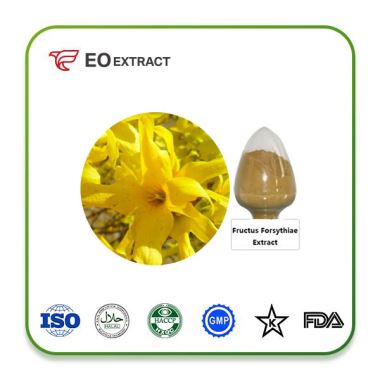 Fructus Forsythiae Extract